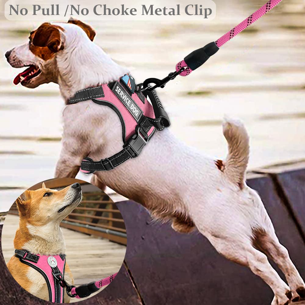 Cymiler reflective straps on vest enhance visibility for safer night strolls.