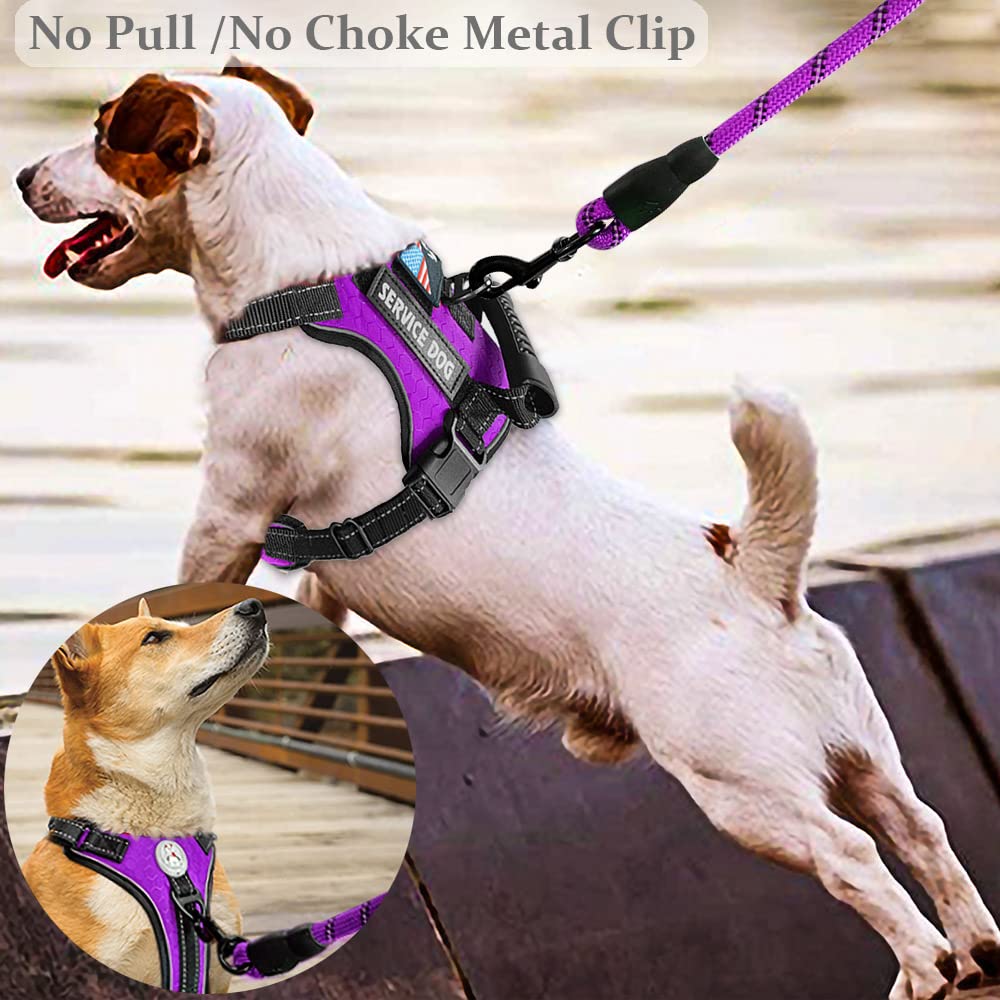 Cymiler service dog vest size chart and measurement guide for an accurate fit.