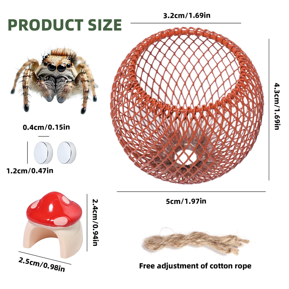 Cynailli jumping spider mushroom hide provides a cozy retreat and hiding space.