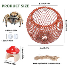 Cynailli jumping spider mushroom hide provides a cozy retreat and hiding space.