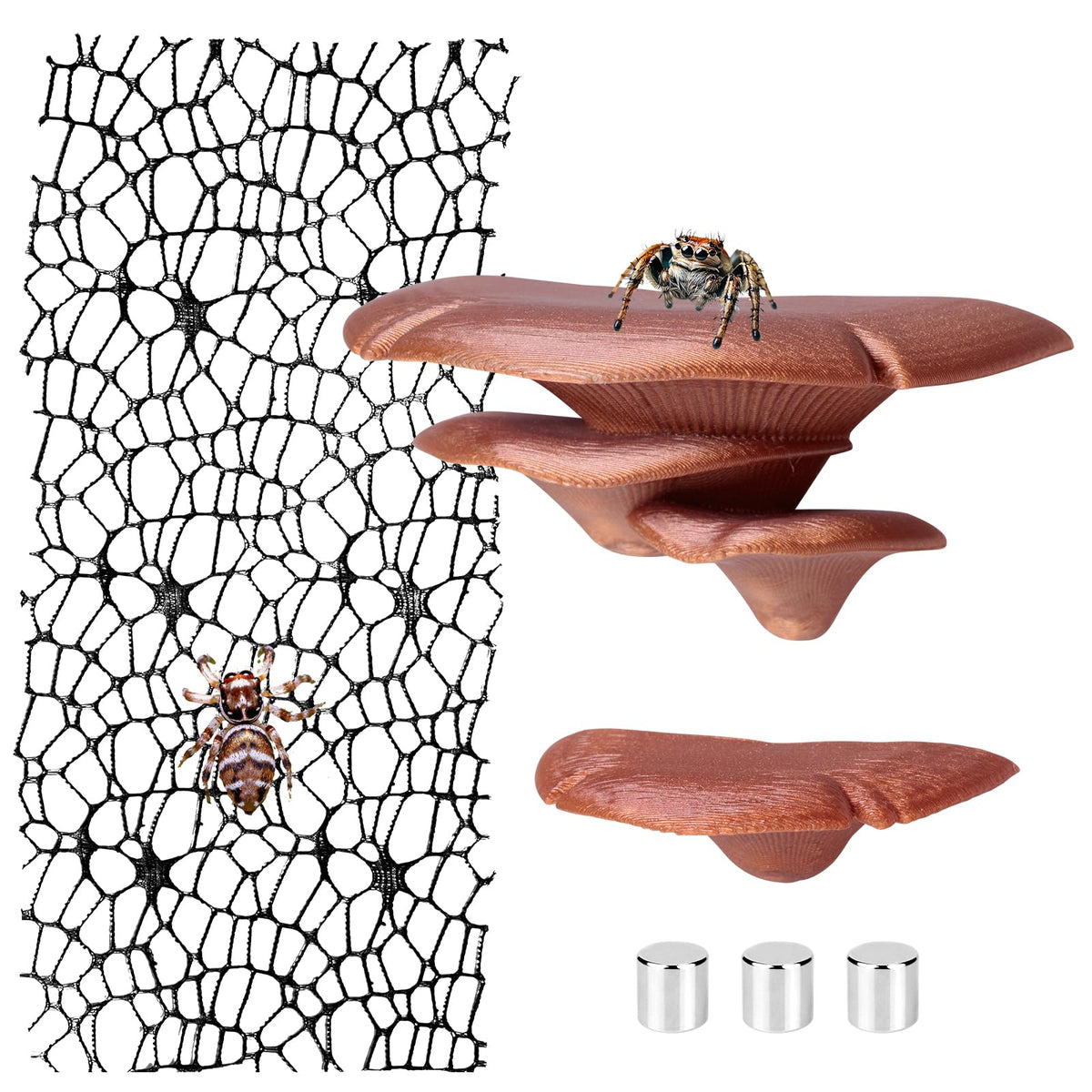 Cynailli jumping spider mushroom shelf with magnets, provides secure climbing platforms inside enclosed habitats.