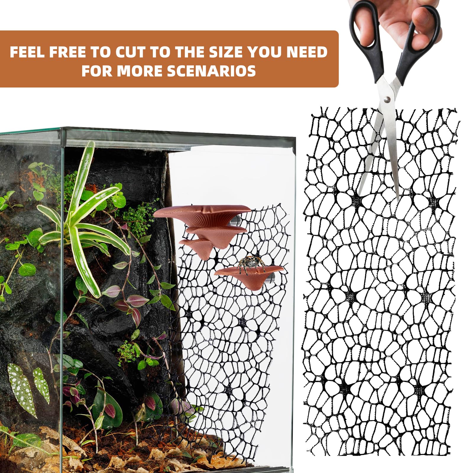 Cynailli product packaging with two mix-size mushroom shelves for flexible layout.