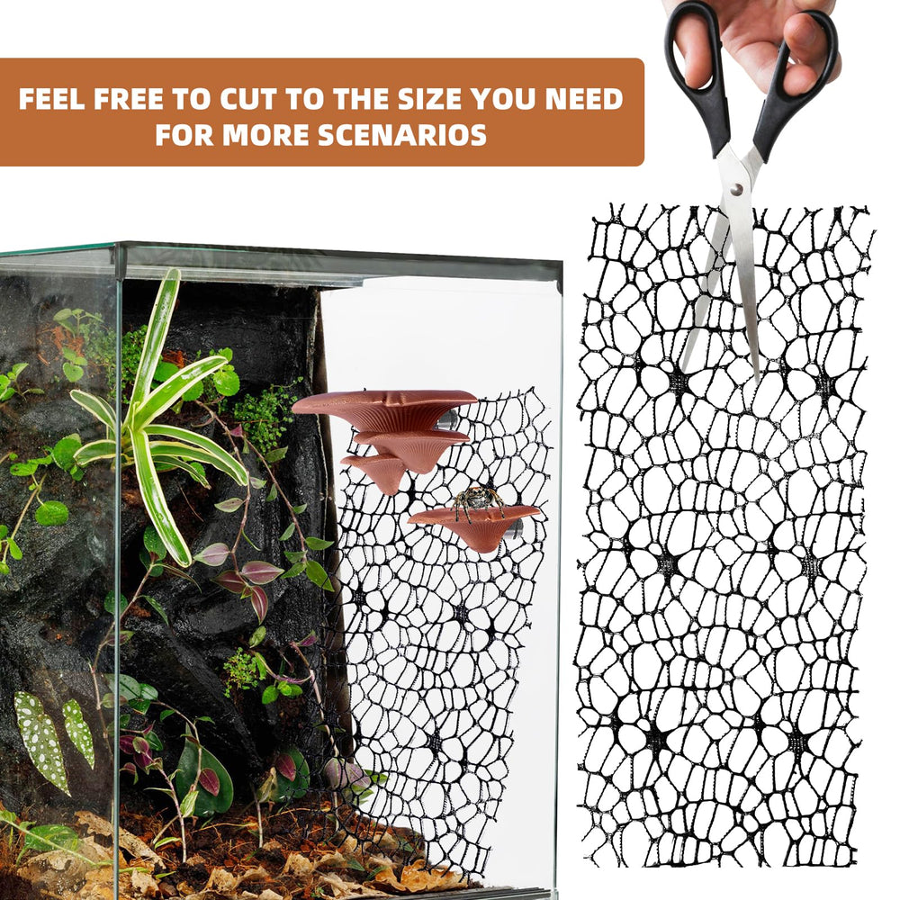 Cynailli product packaging with two mix-size mushroom shelves for flexible layout.