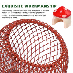 Cynailli jumping spider rope bridge adds perching and exploration paths.