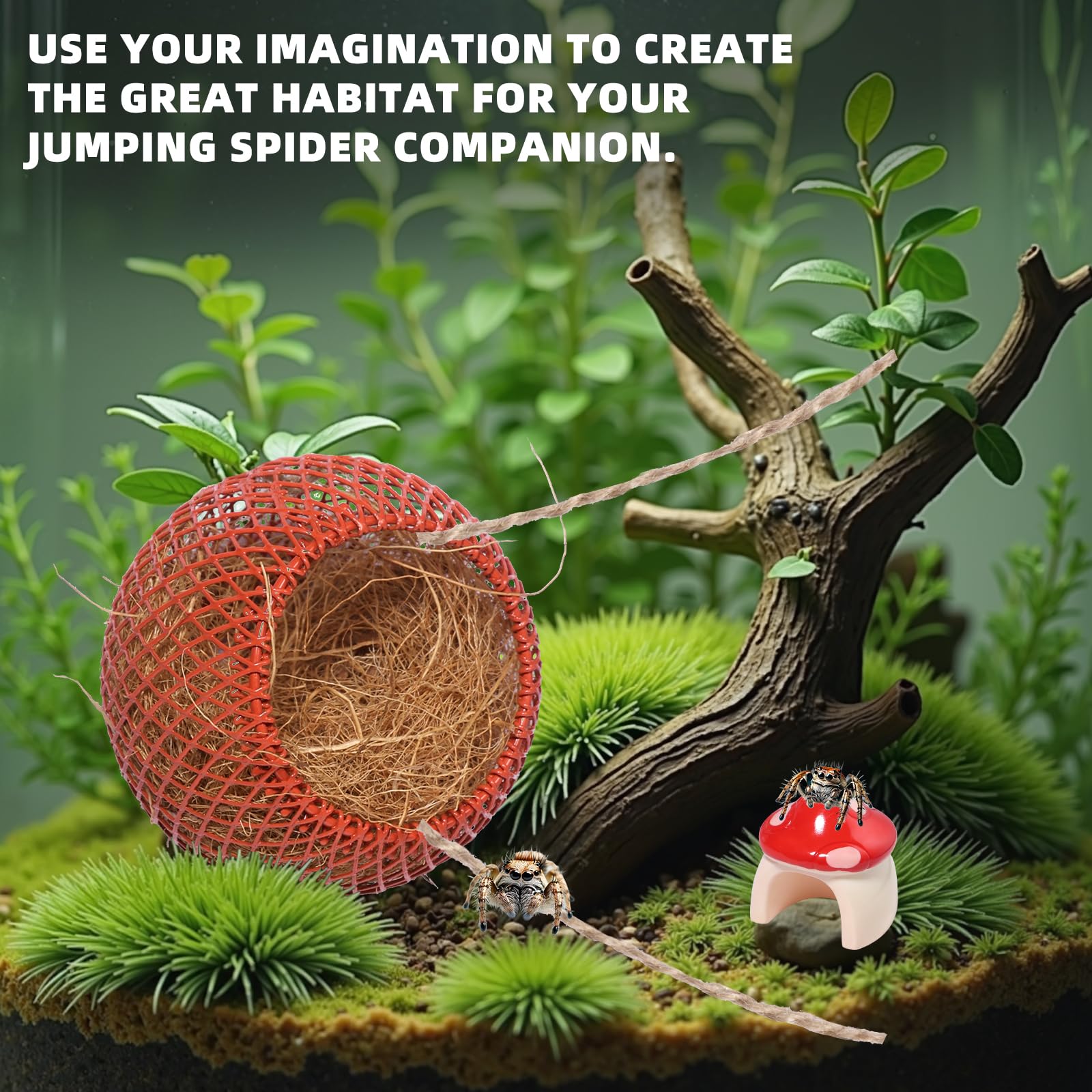 Cynailli resin mushroom decor enriches habitat without odor.