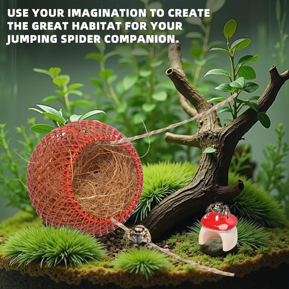 Cynailli resin mushroom decor enriches habitat without odor.