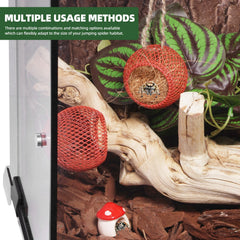 Cynailli spider enclosure accessories pack enhances habitat with multi-level setup.