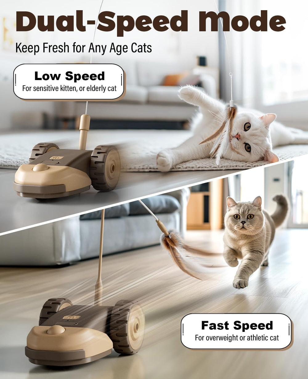 CYROS dual-speed ABS and silicone build safe for kittens and adults.