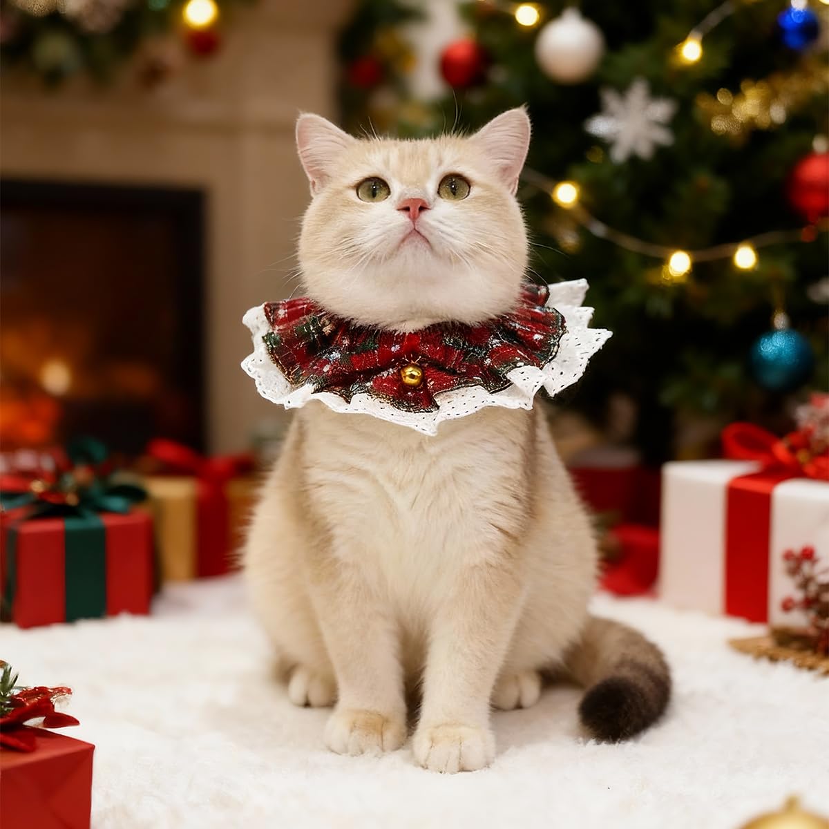 Cyzucle dog Christmas outfit in action—photo-ready holiday look.