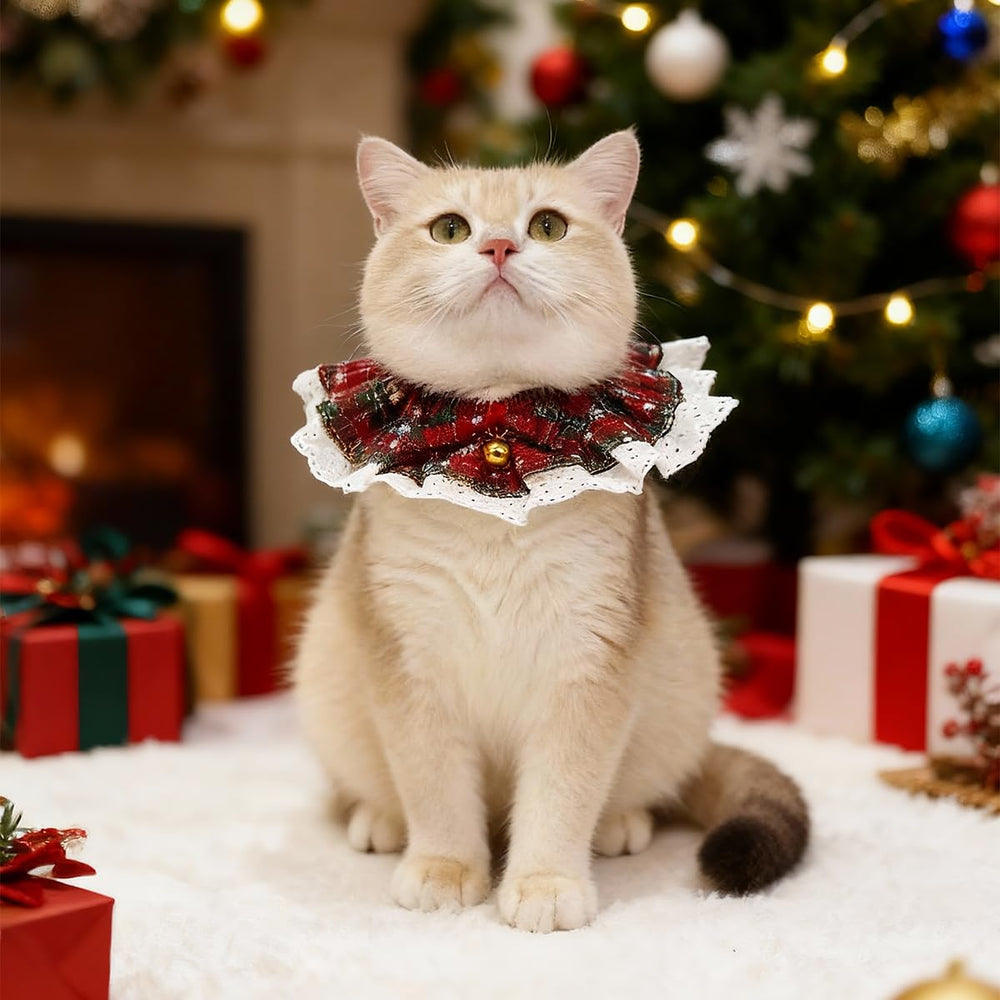 Cyzucle dog Christmas outfit in action—photo-ready holiday look.
