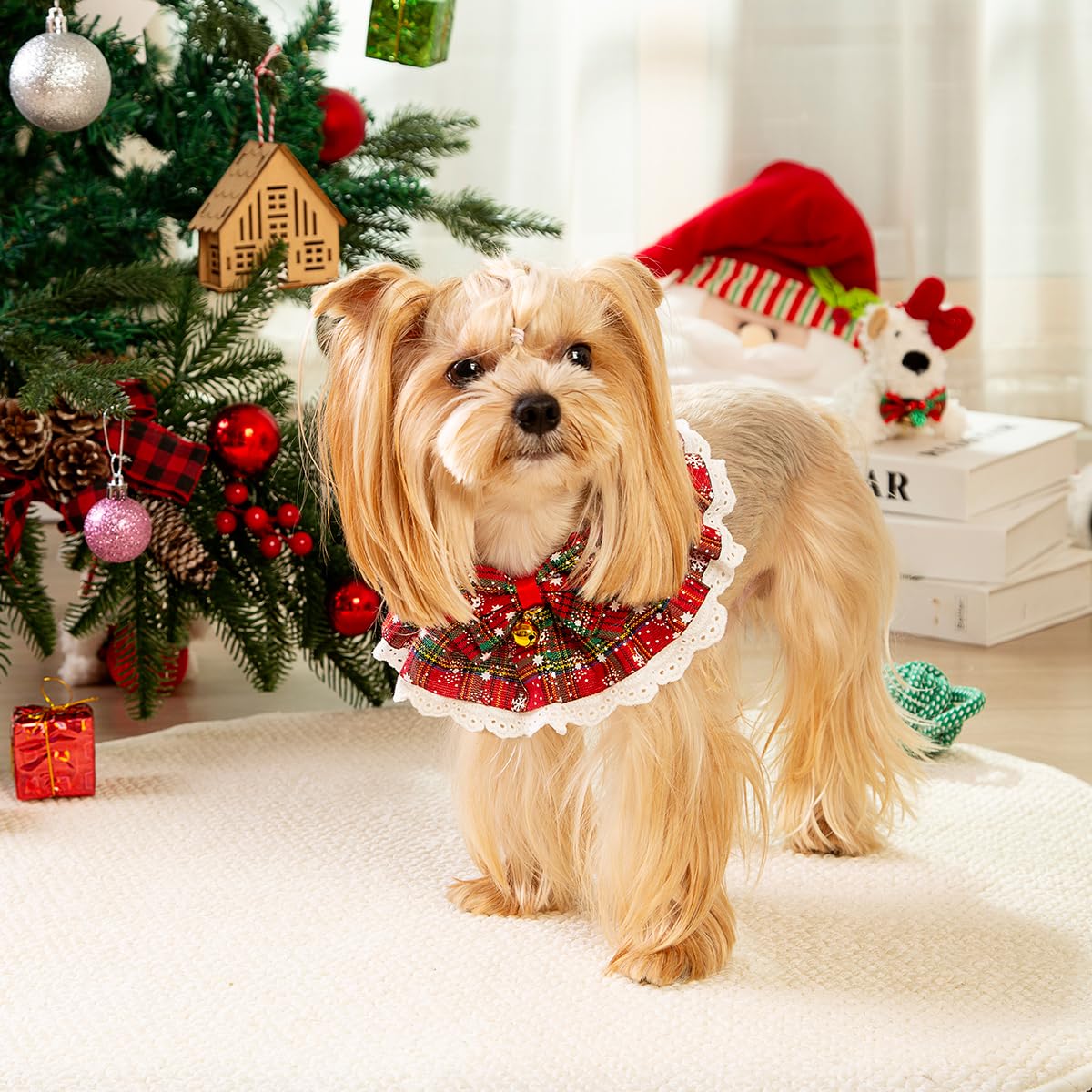 Cyzucle pet Christmas outfit suited for indoor and outdoor wear.