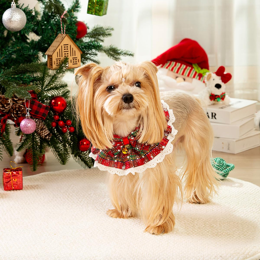 Cyzucle pet Christmas outfit suited for indoor and outdoor wear.