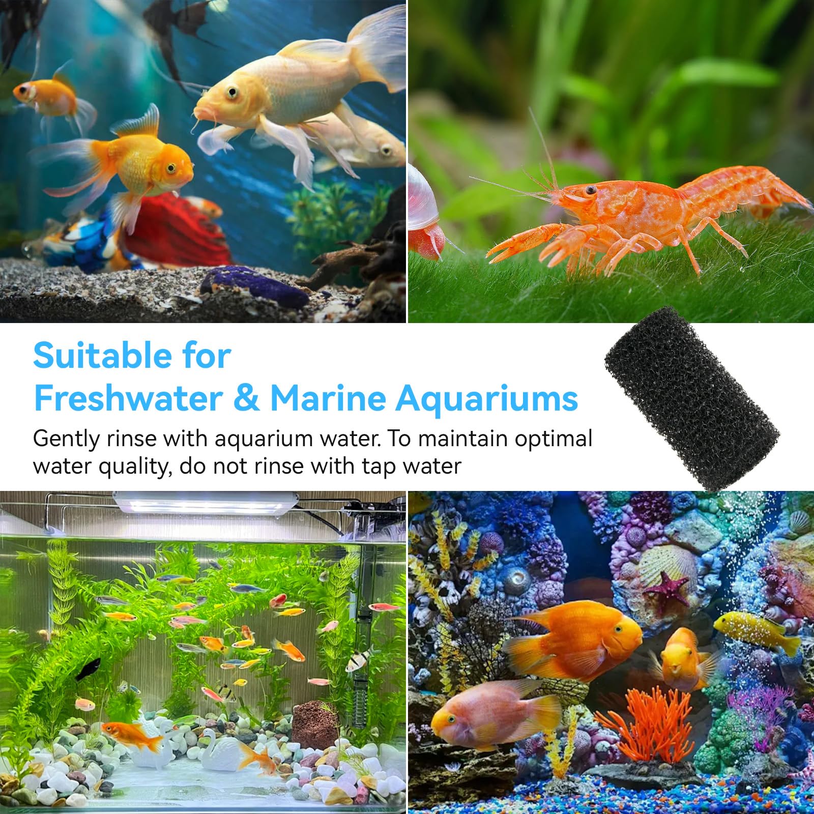 Czarixa maintenance-close shows easy squeeze-clean routine before fish tank refill