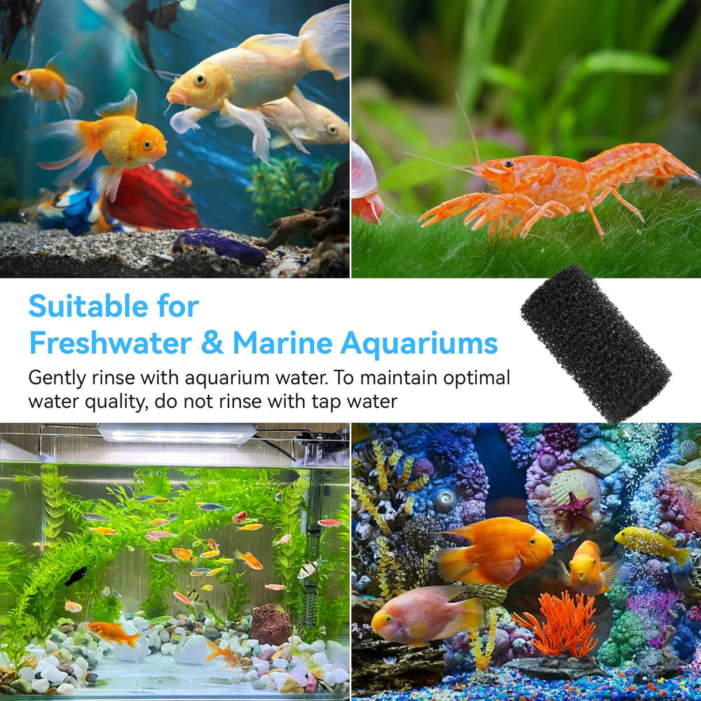 Czarixa maintenance-close shows easy squeeze-clean routine before fish tank refill