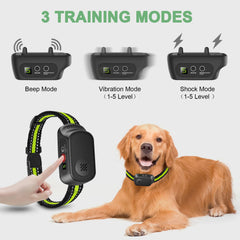 CZCCWD bark collar false trigger detection emphasizes reliable training