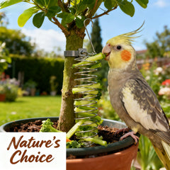 CZMZHFC natural millet treats appealing to birds' chewing and foraging instincts