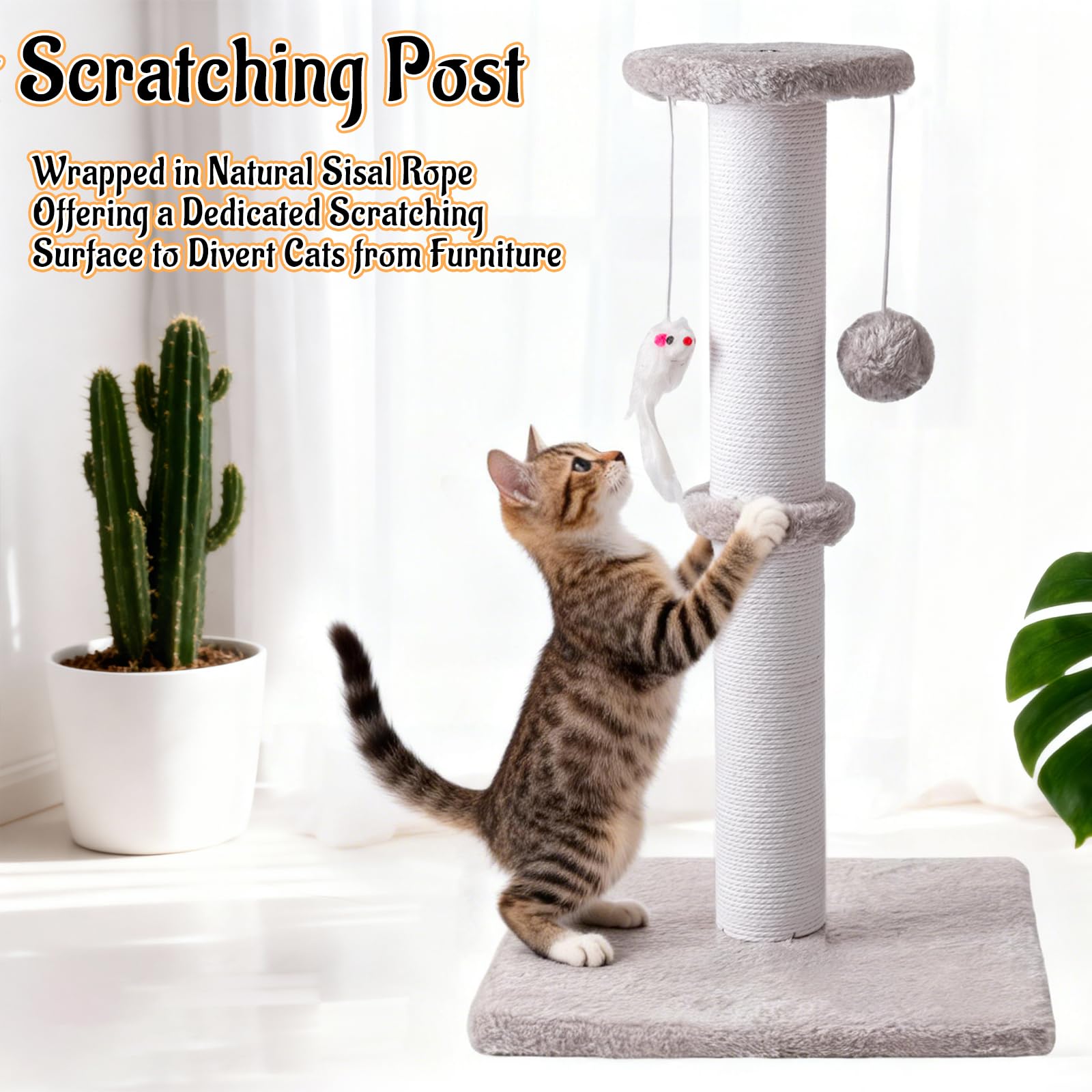 Czoynife multi-cat friendly base ensures stability during playful scratching sessions.