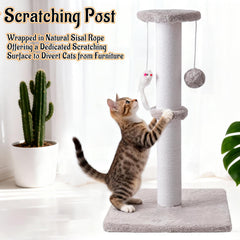 Czoynife multi-cat friendly base ensures stability during playful scratching sessions.