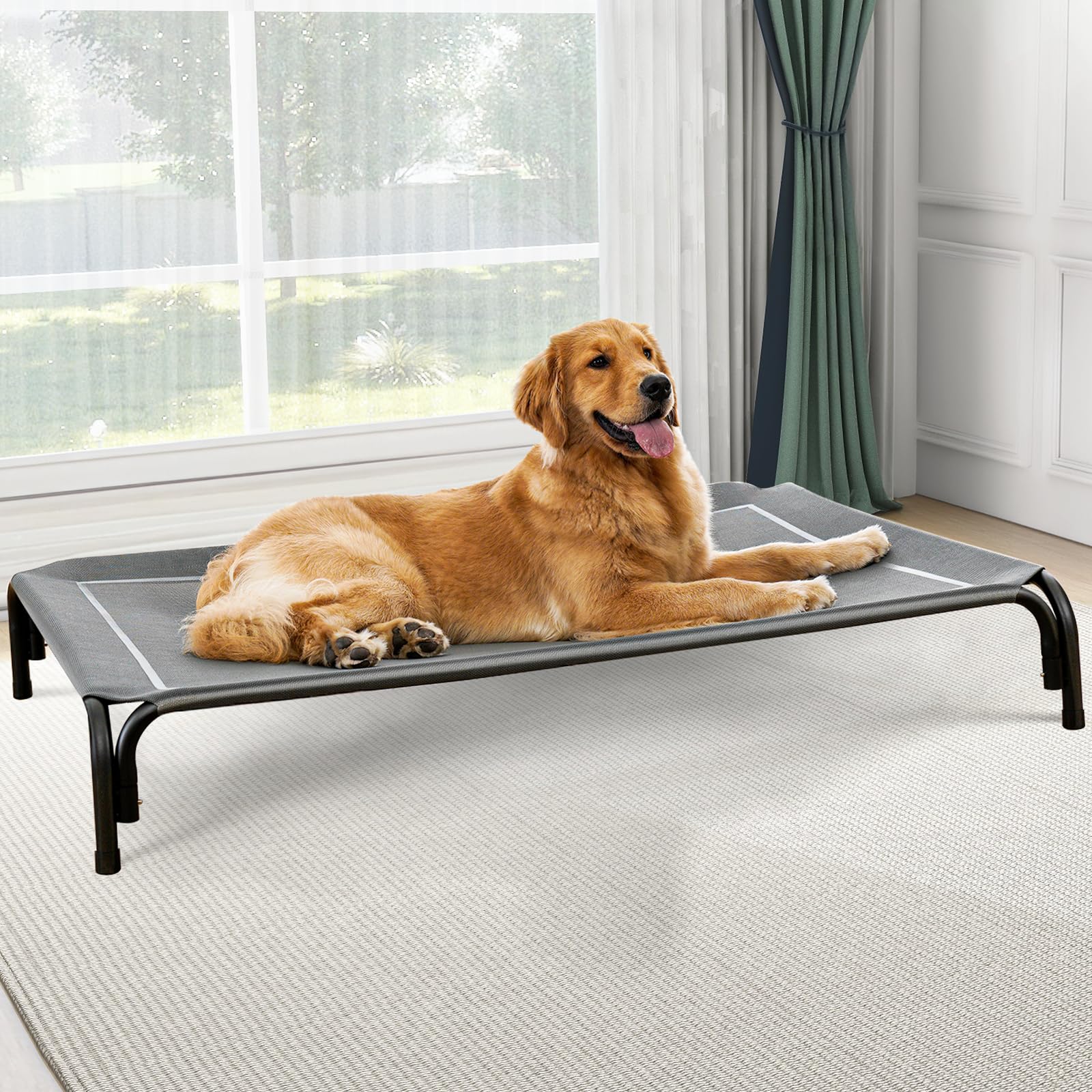 Czpalo elevated dog bed assembled outdoors, showcasing sturdy frame for reliable support.