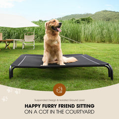 Czpalo elevated dog bed with dog on bed outdoors illustrating spacious rest for large dogs