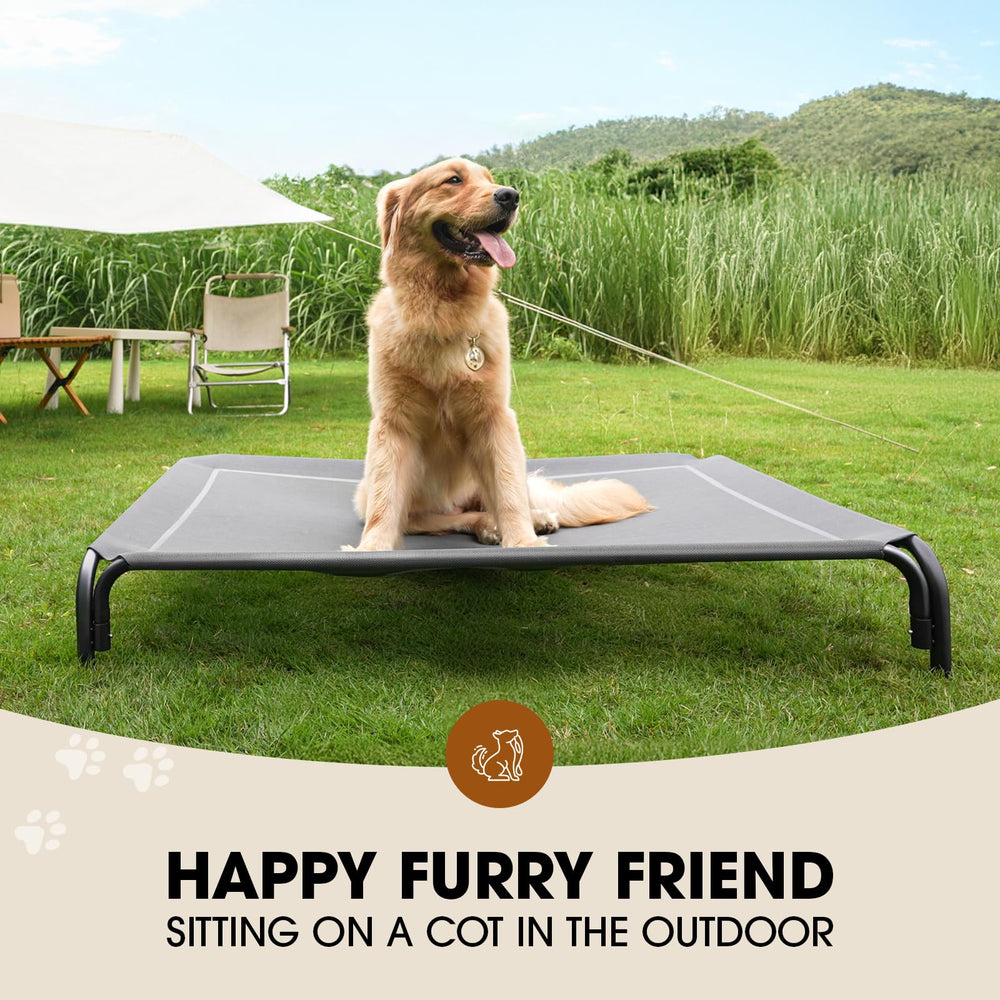 Czpalo elevated dog bed mesh top showcases breathable Teslin mesh for cool comfort