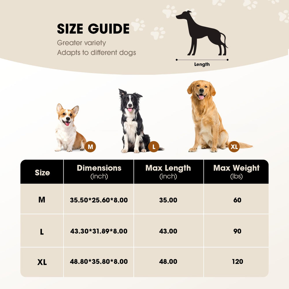 Czpalo elevated dog bed portable camping demonstrates easy transport and quick setup