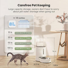 CZPET water dispenser bottle and bowl assembly enabling seamless setup