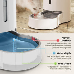 CZPET gravity replenishment in action ensures pets stay hydrated