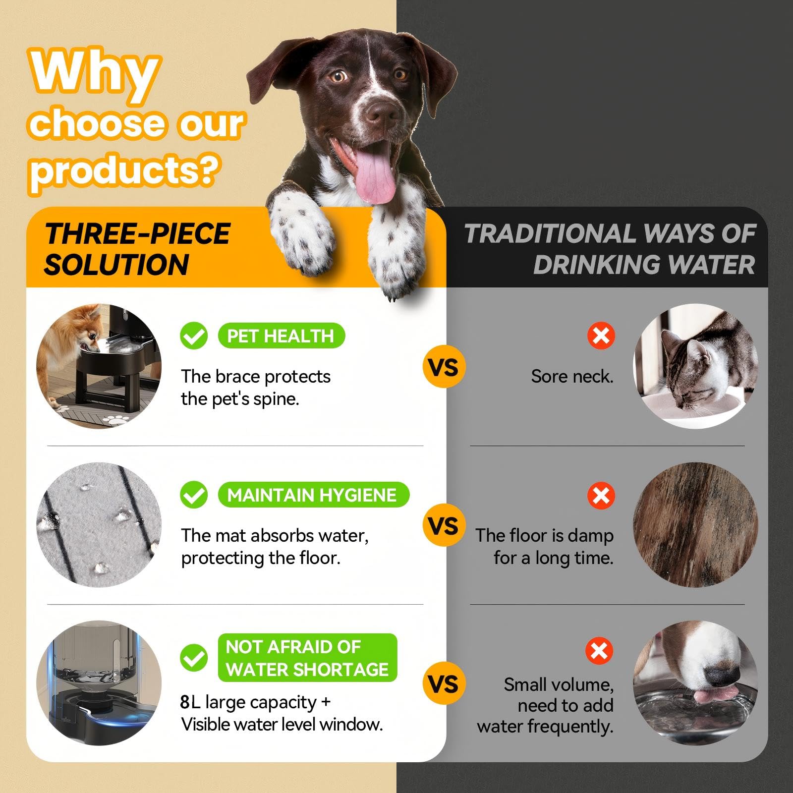 CZPET large-dog water dispenser on ergonomic stand supports comfortable posture.