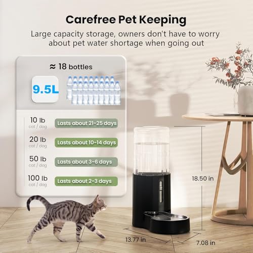 CZPET stainless steel bowl assembly offering a durable, pet-safe drinking surface