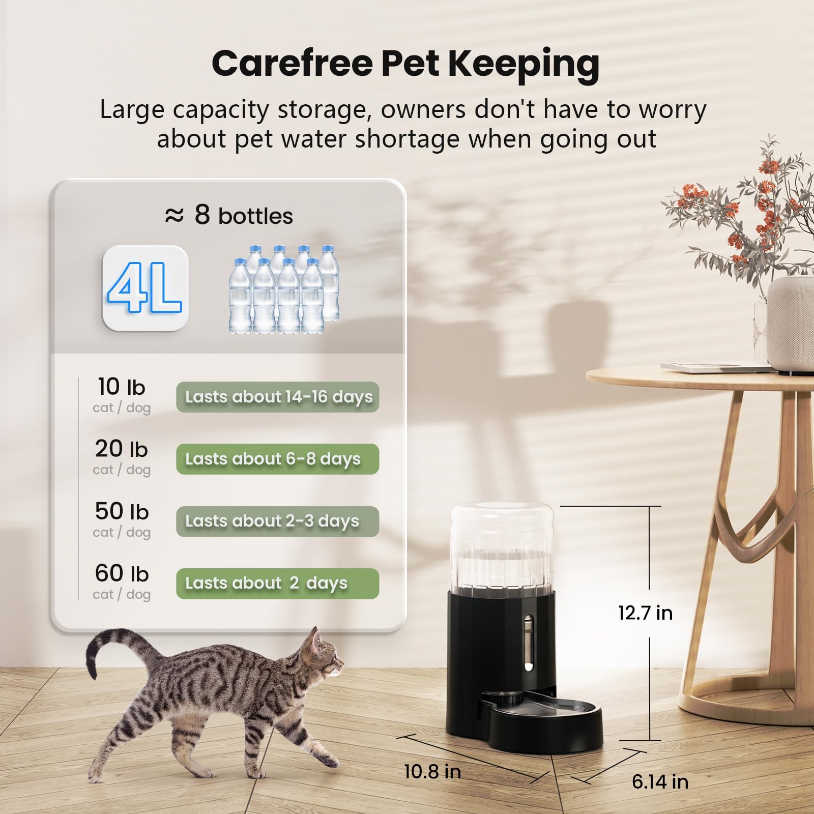 CZPET stainless-steel water bowl provides safe, easy-clean drinking surface.