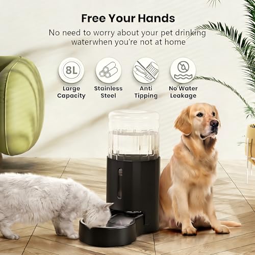 CZPET water-level window helps monitor remaining water at a glance.