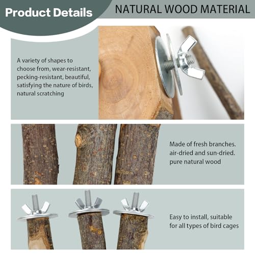 CZWESTC fork natural wood perch adds enrichment and climbing variety.