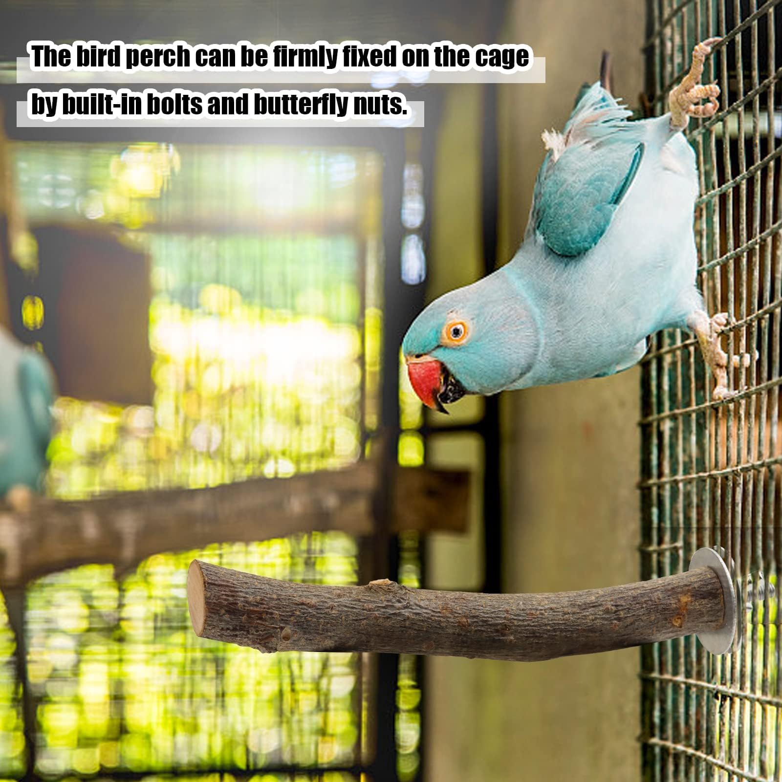 CZWESTC varied shapes perch enriches daily bird activity.