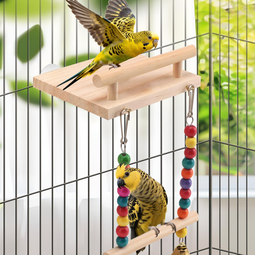 CZWESTC small-bird-gym supports daily activity and enrichment for lively budgies and lovebirds.