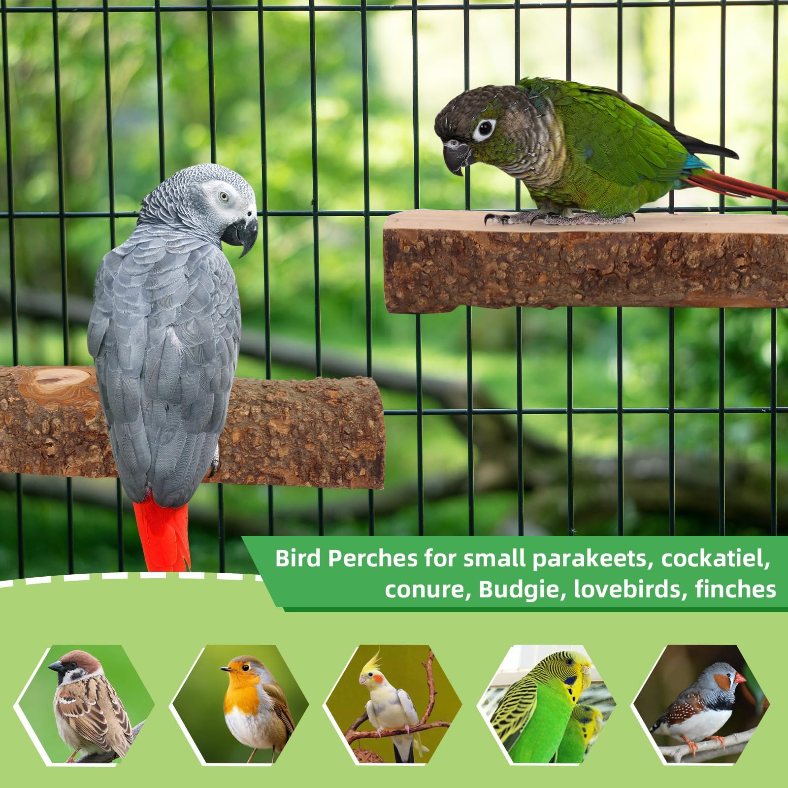 CZWESTC small parrot cage perch in use as an accessory