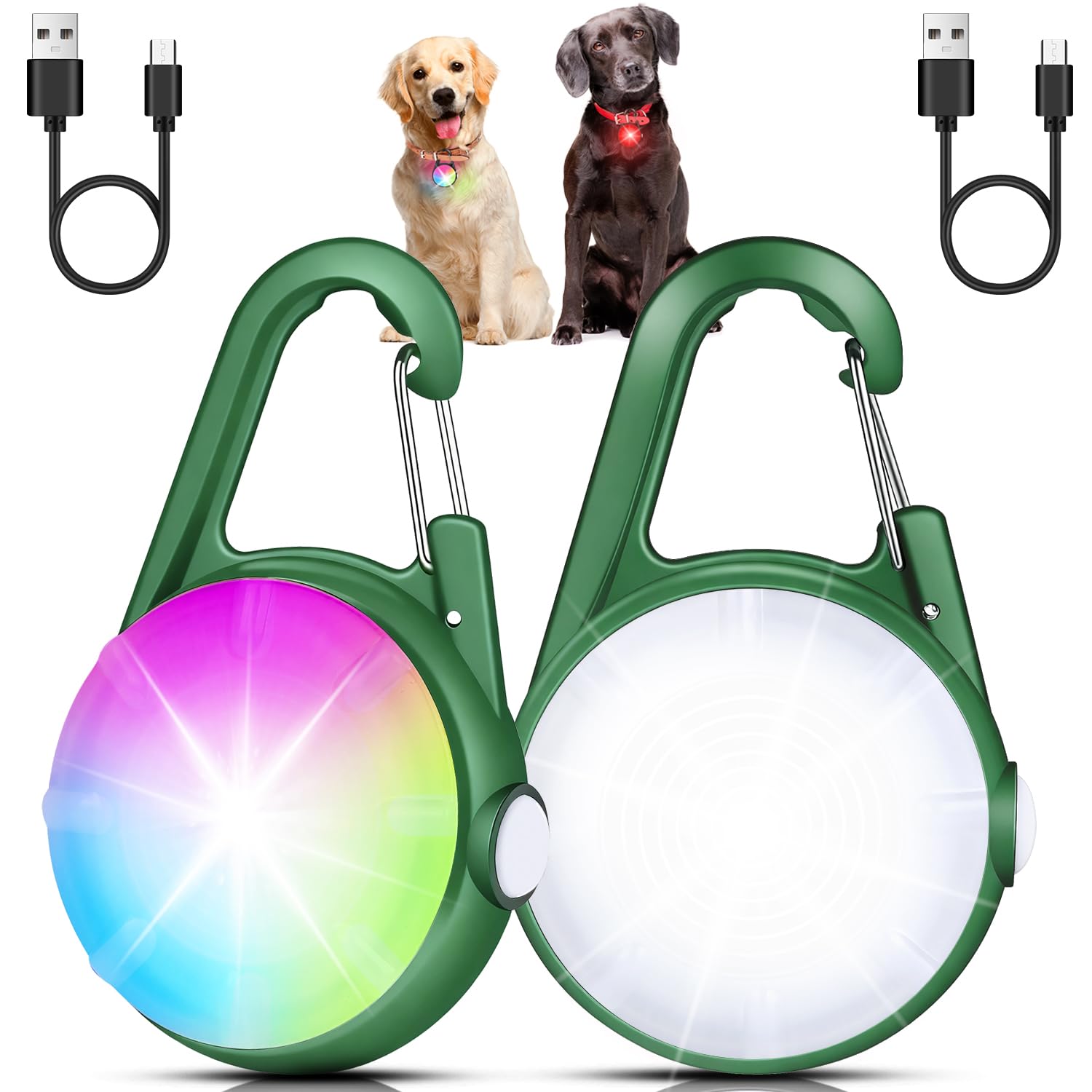 DAAMENT dog collar light front view for night visibility.
