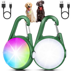 DAAMENT dog collar light front view for night visibility.