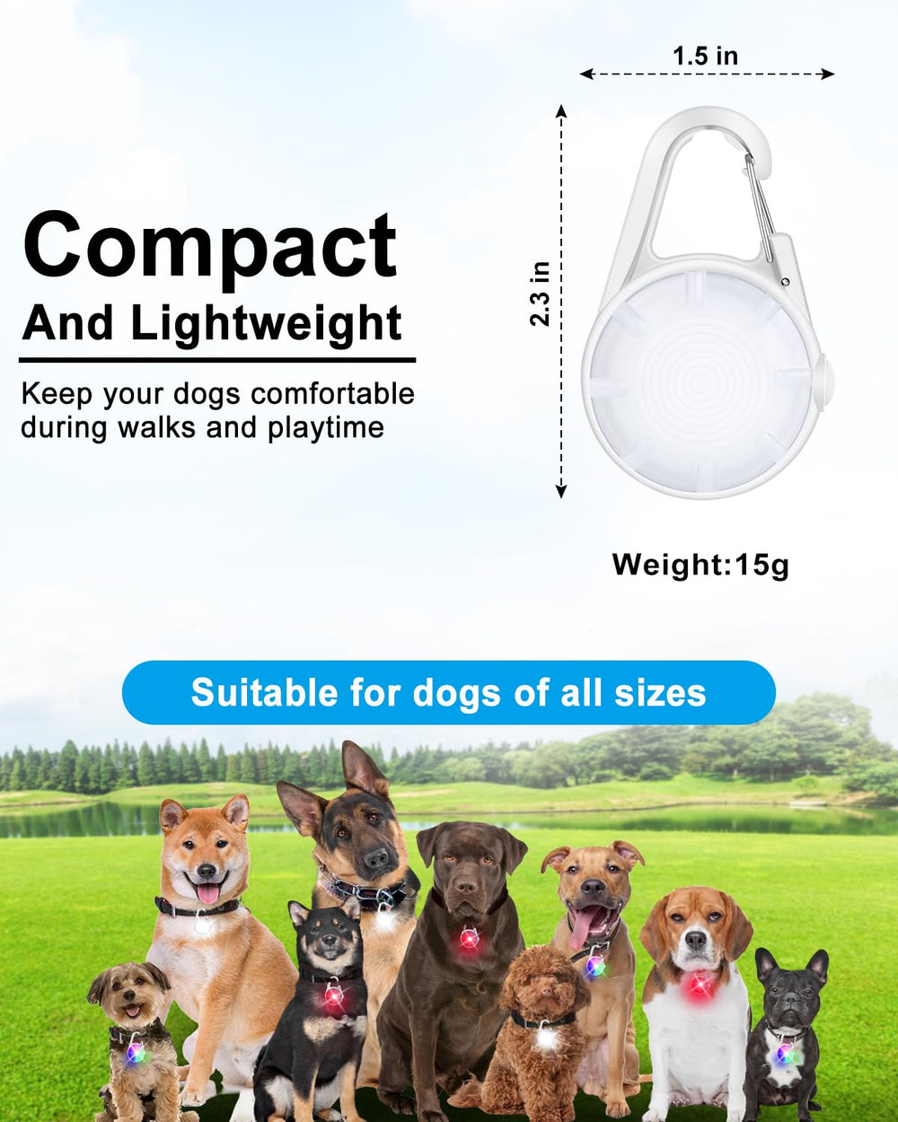 DAAMENT four-modes dog light offers versatile lighting for various activities.
