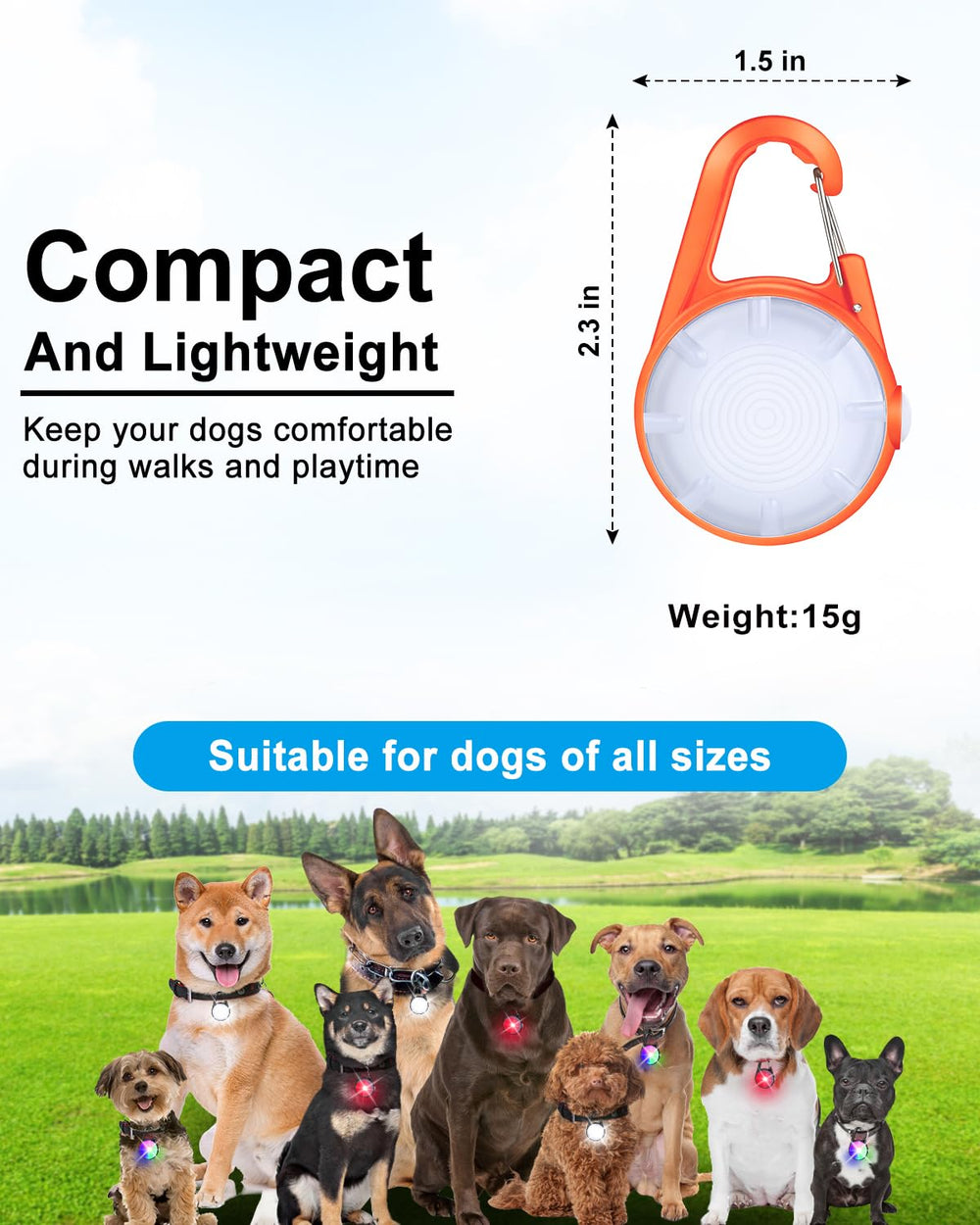 DAAMENT IP67 waterproof dog light, rain or snow-ready for all-weather night walks.
