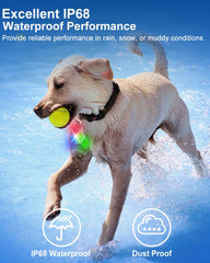 DAAMENT LED dog light delivers 80lm brightness for high visibility.