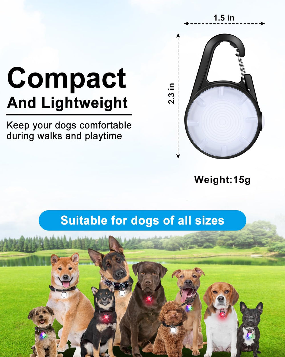 DAAMENT lightweight collar light keeps dogs comfortable on night walks