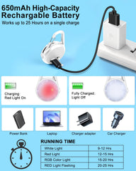 DAAMENT waterproof dog collar light withstands rain and muddy conditions.