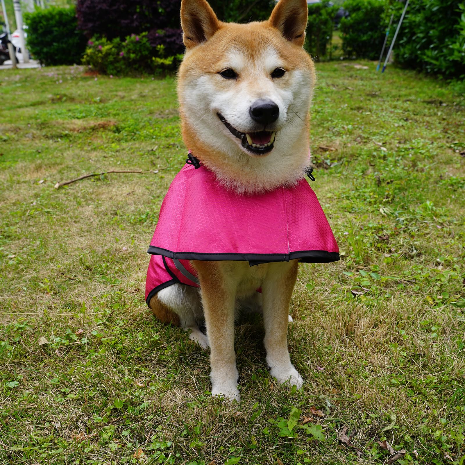 Dadanfly dog raincoat waterproof-fabric provides windproof protection in wet weather