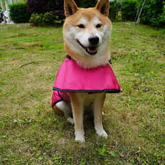 Dadanfly dog raincoat waterproof-fabric provides windproof protection in wet weather