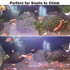 Daelala Aquarium Shrimp Hide breeding-friendly space encourages fry observation and growth.