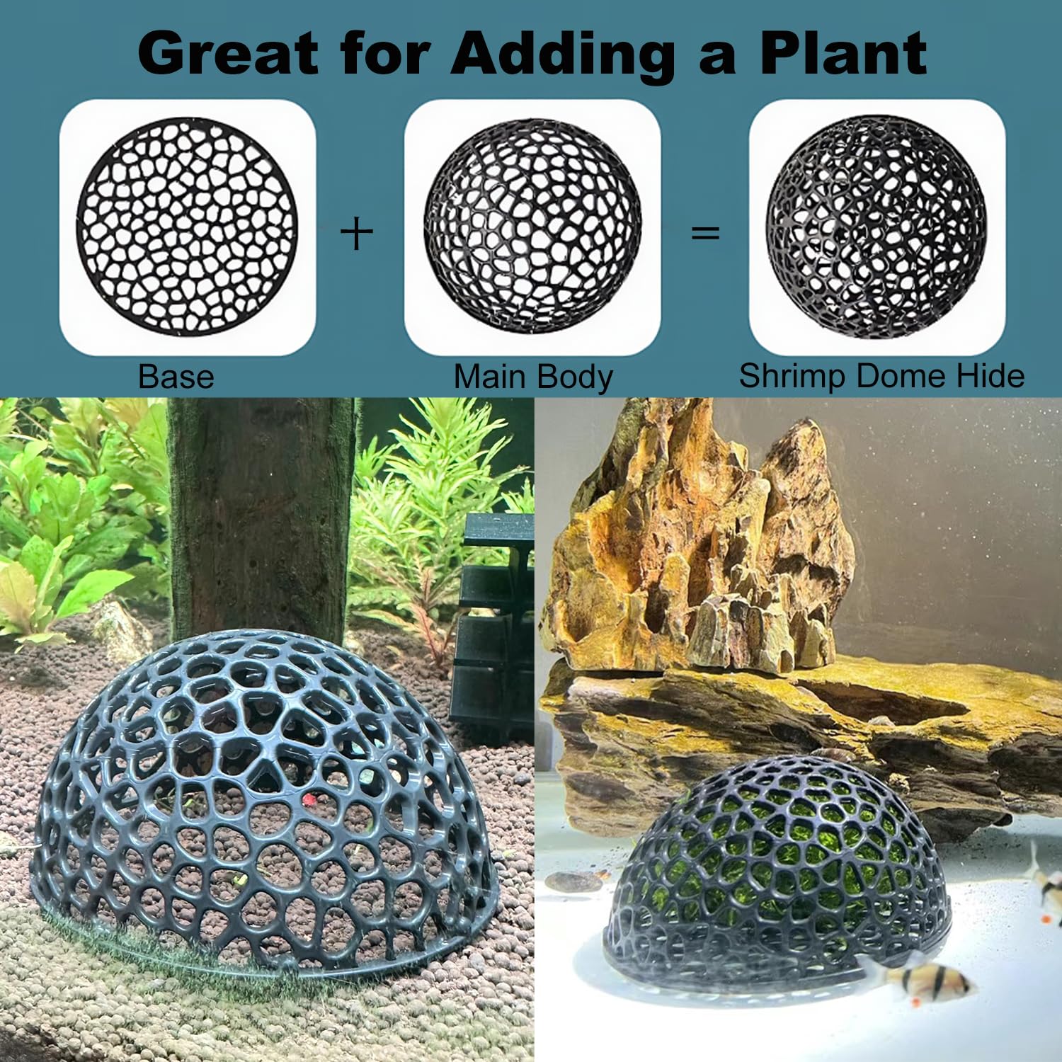 Daelala Aquarium Shrimp Hide detachable design enables moss attachment for added cover.