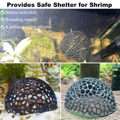 Daelala Aquarium Shrimp Hide porous entrance highlighting easy movement and observation.
