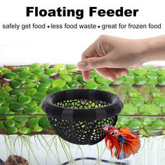 Daelala betta hideout cave offering a safe retreat for stress relief.