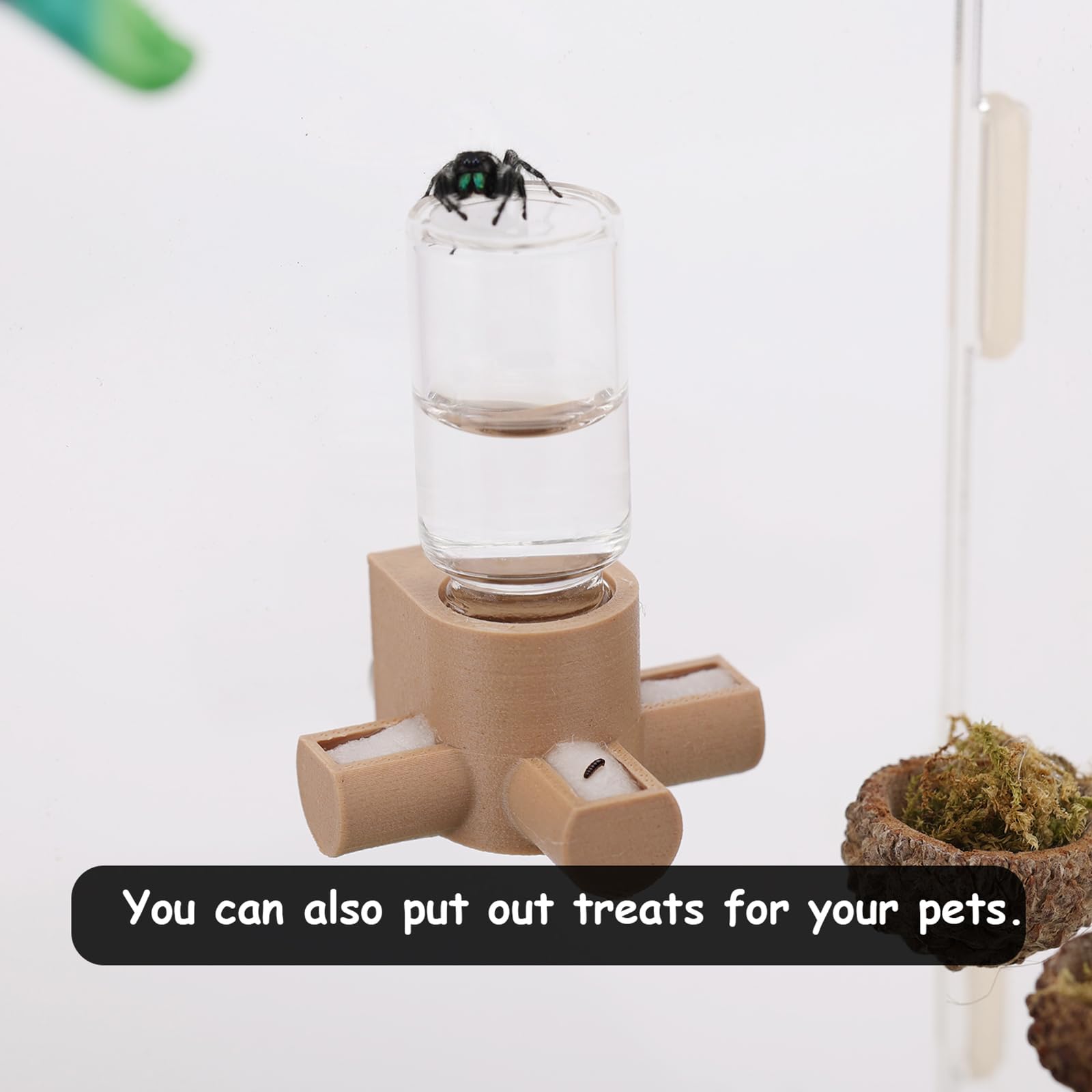 Daerky 5ML bottle capacity highlights compact, refill-friendly design.